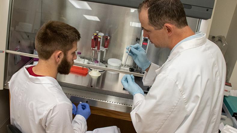 Faculty student research