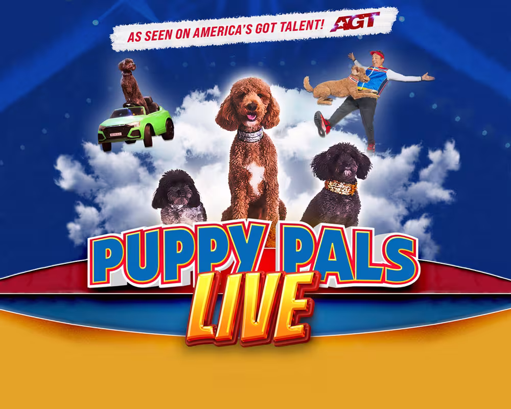 Puppy Pals Live - As seen on America's Got Talent! AGT