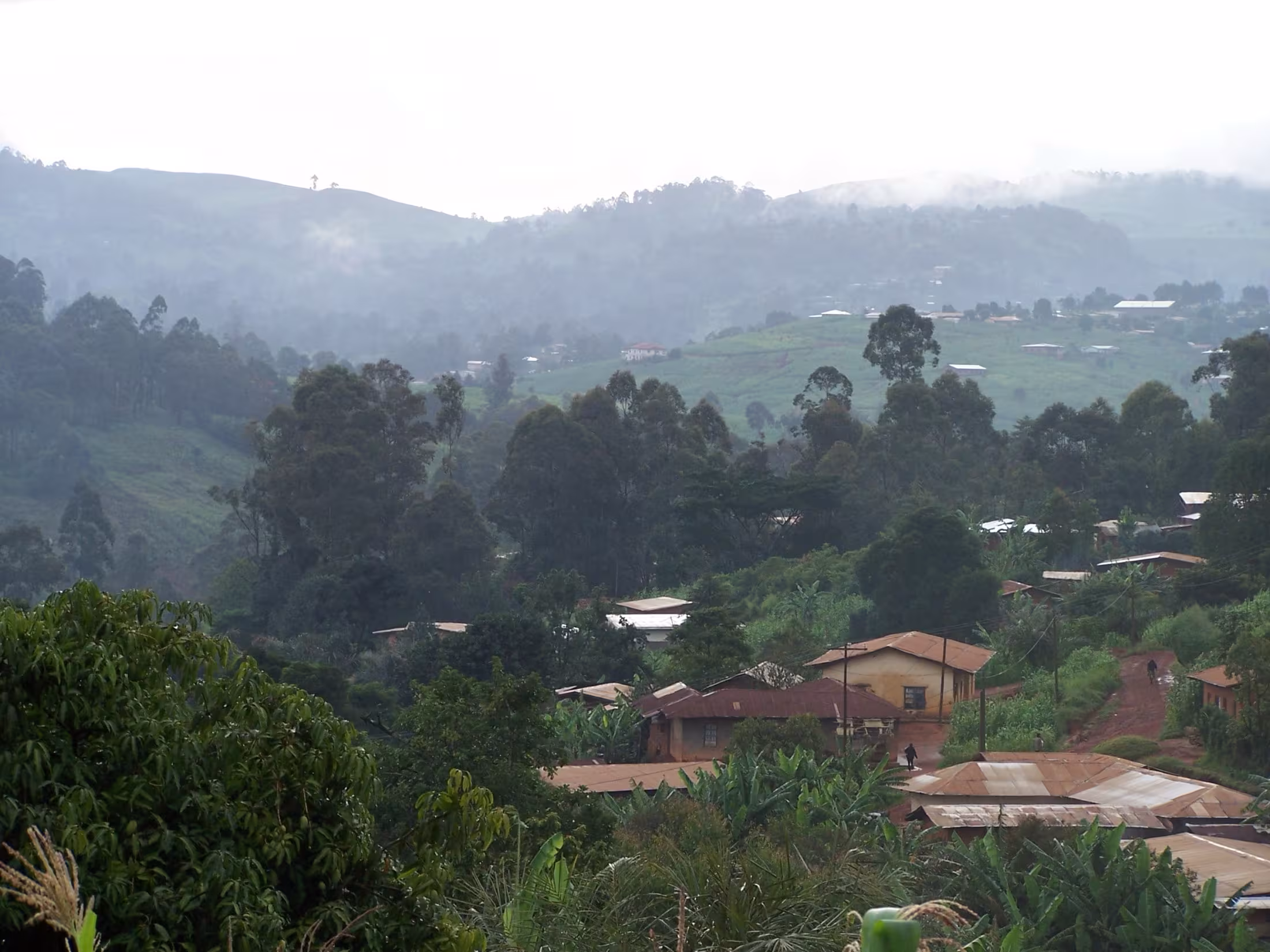 Village in Cameroon